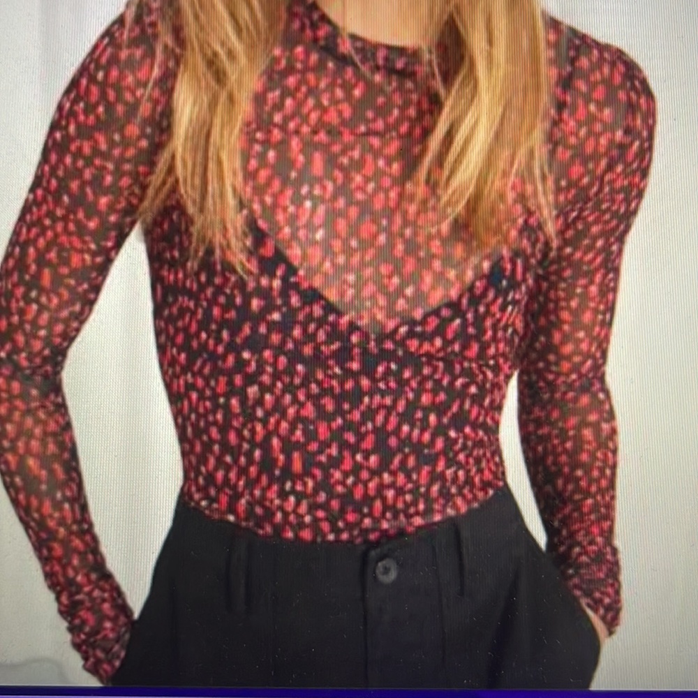 & Other Stories Sheer Mesh Long Sleeve Top-Black with Red Pattern Size 2